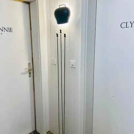 Boutique Loft Clyde Thuner Altstadt * Thun